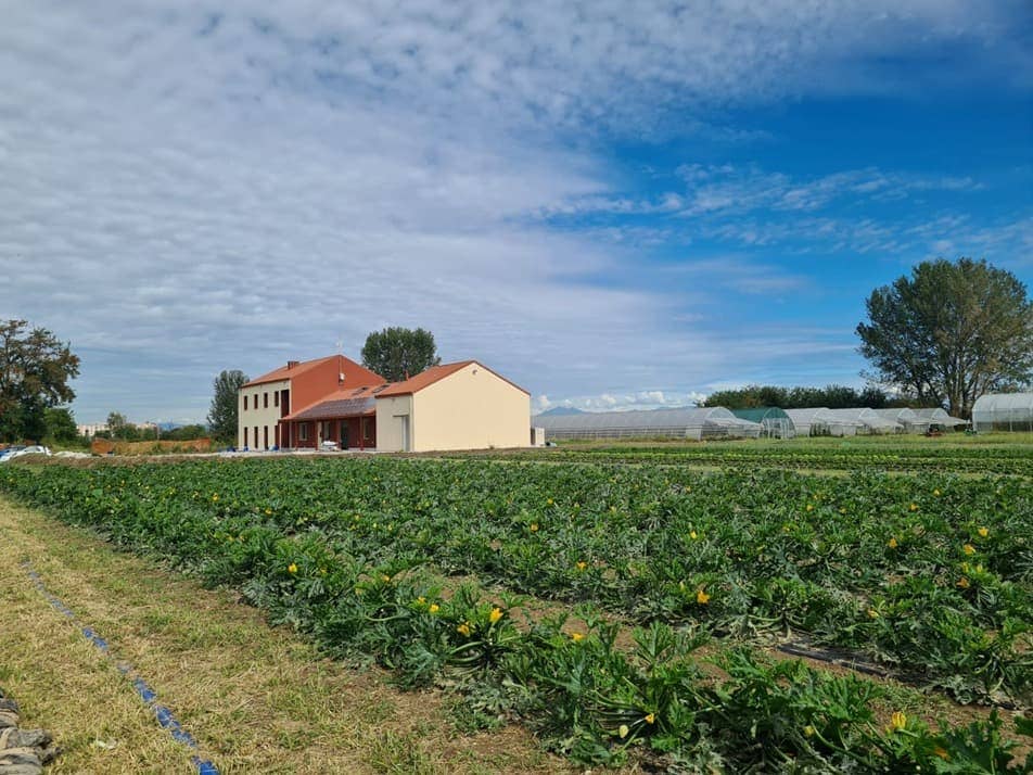 immagine della campagna