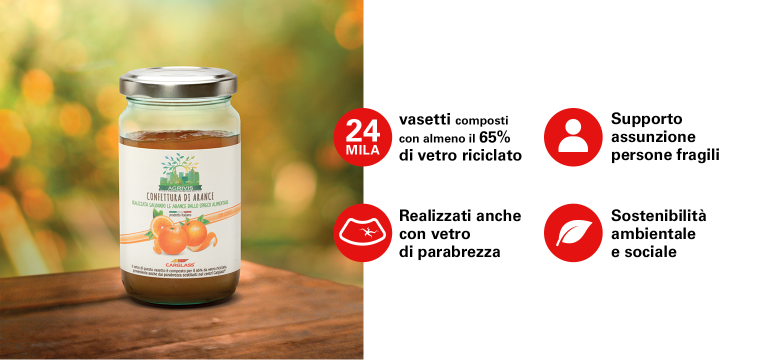 immagine vasetto di frutta agrivis